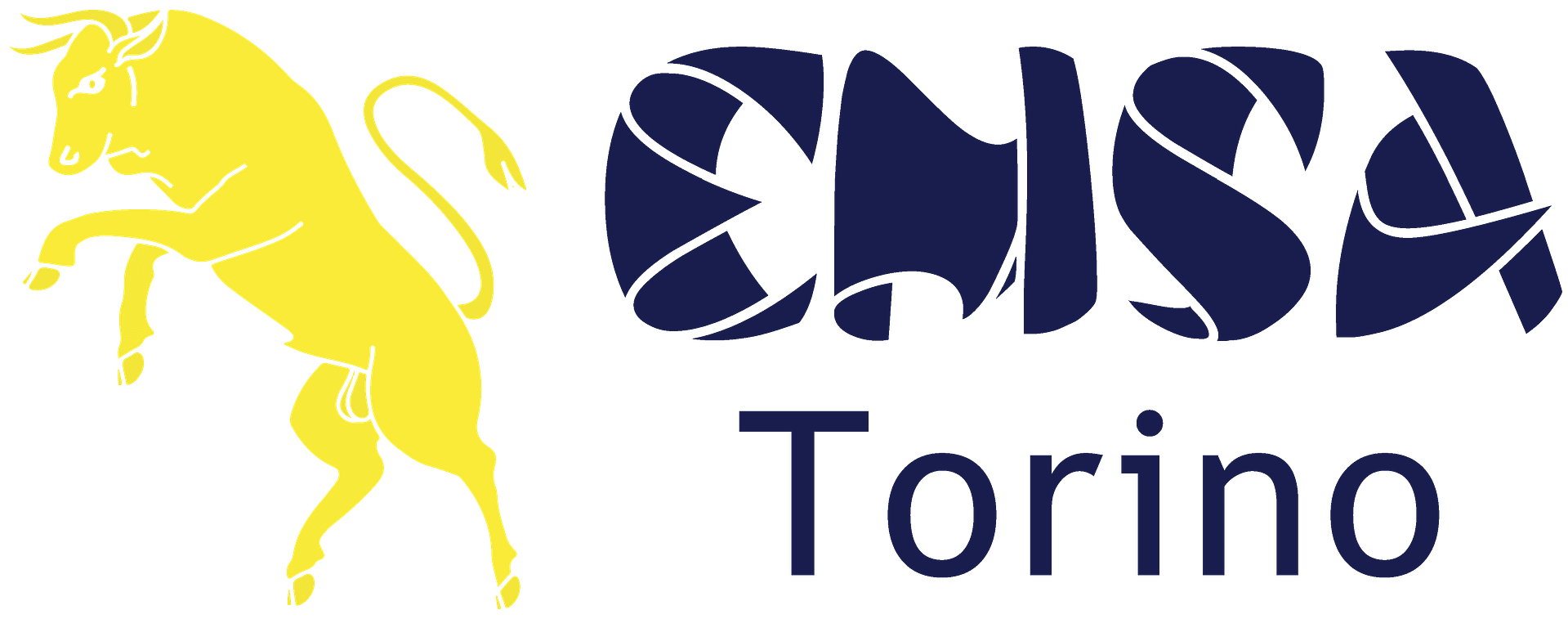 EMSA Turin